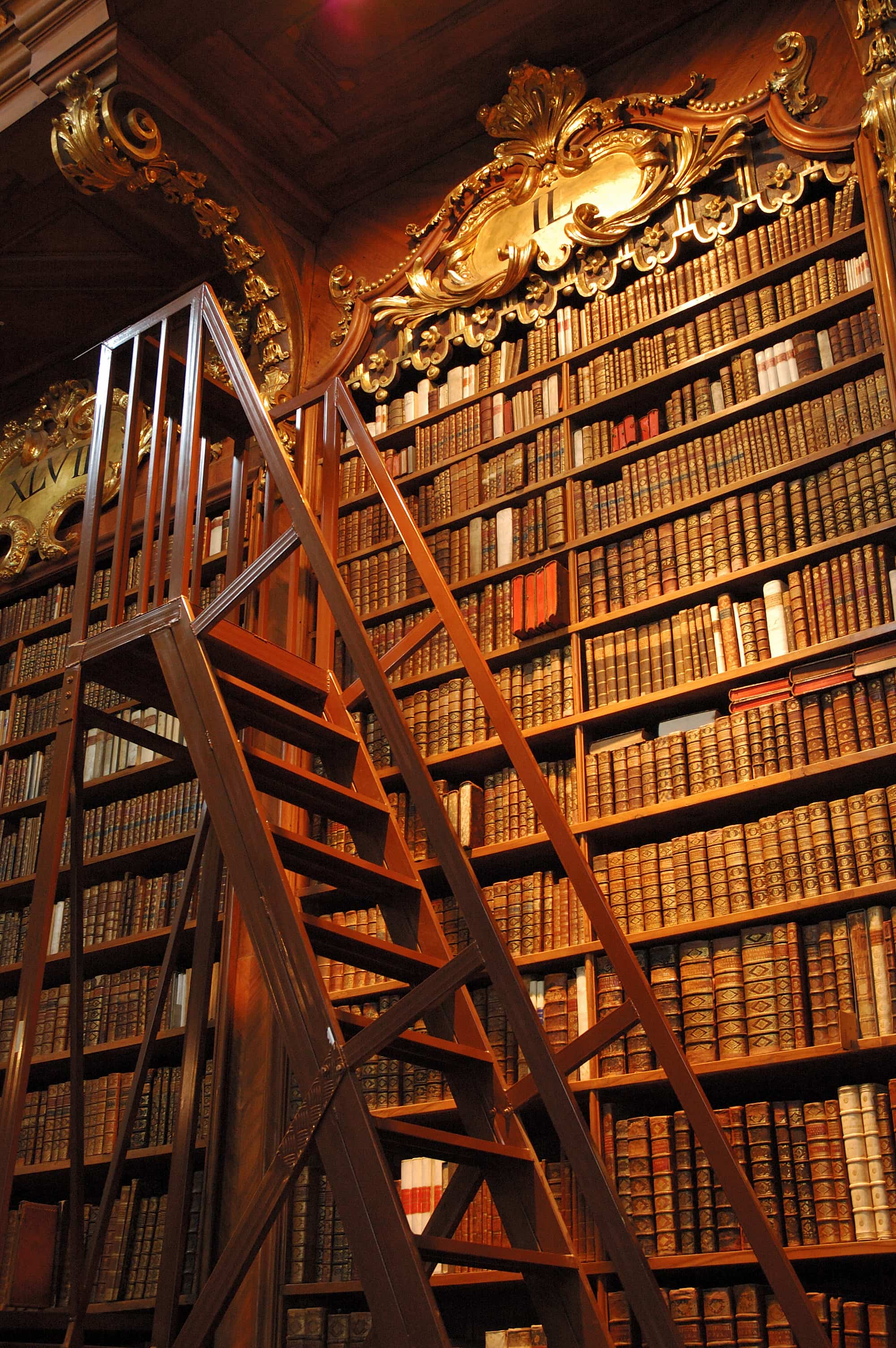 Old Library with ladder