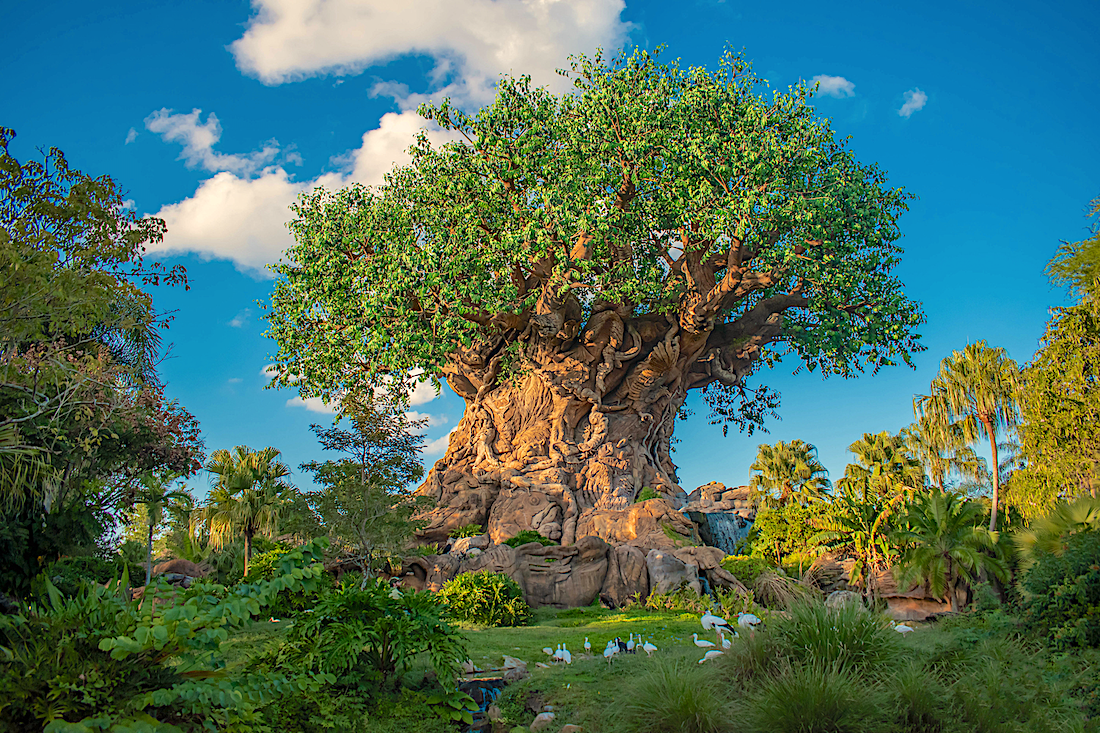 Disney's Animal Kingdom 25th Anniversary Theme Park Architect